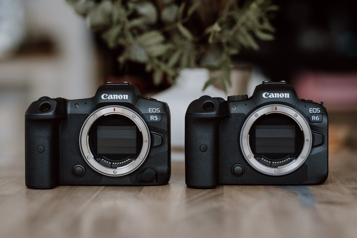 Die neue Canon EOS R5 und R6